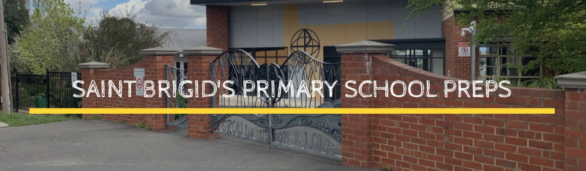 prep-website-st-brigids-primary-school